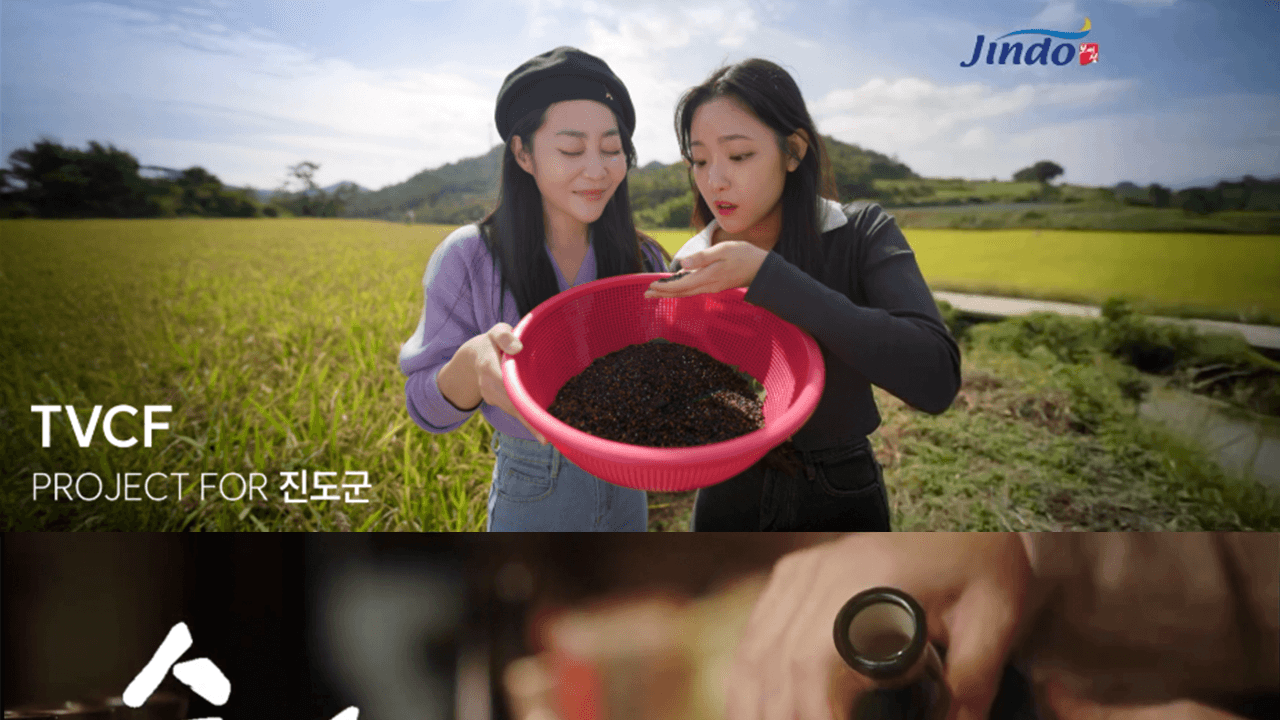 200+ 포트폴리오