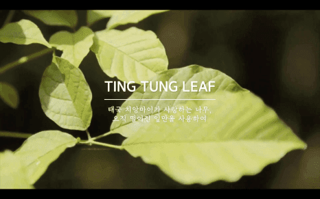 Fox Idea X Mr.Leaf 비건레더 악세서리 제품 홍보영상